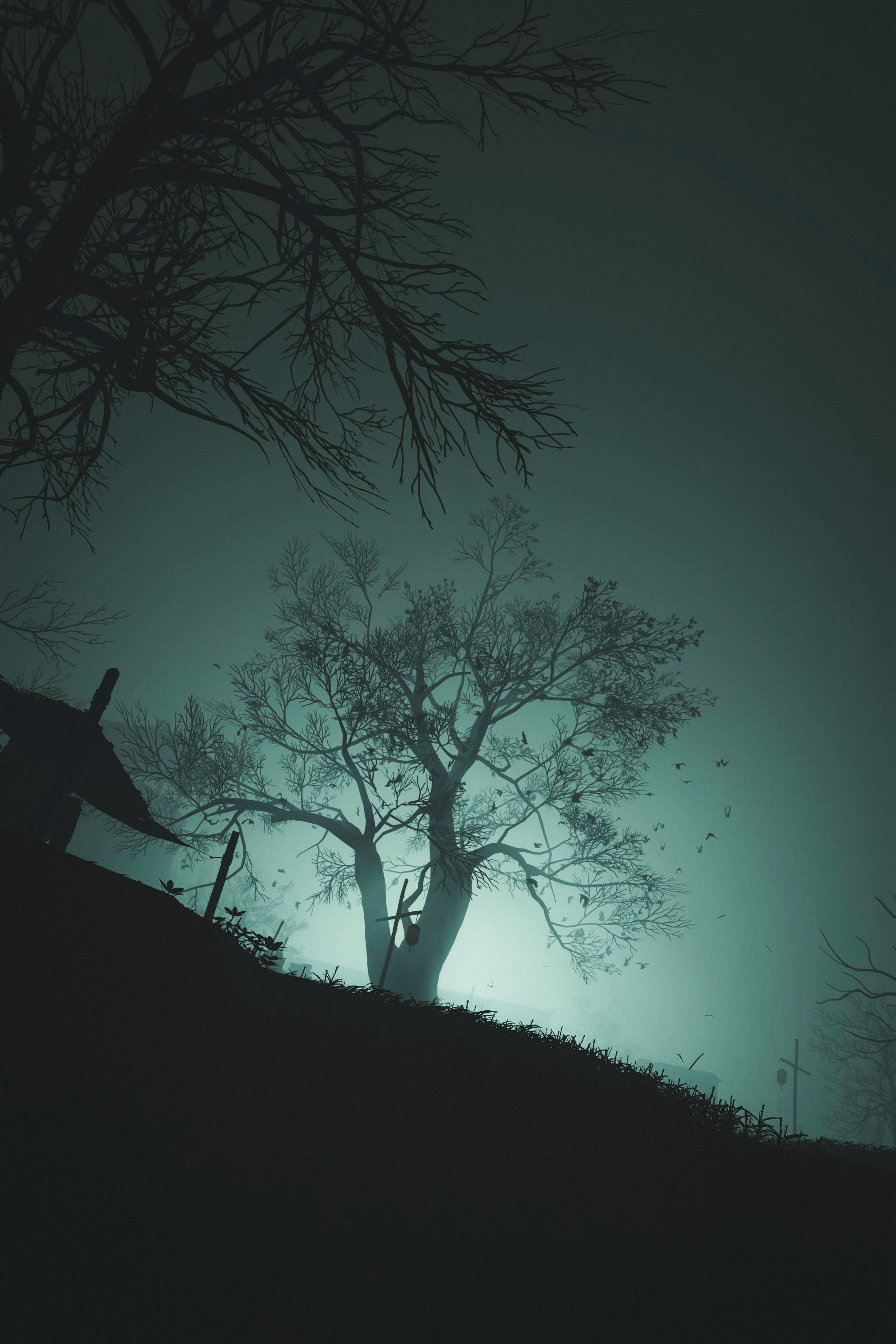 Lo-fi / 恐怖 (Horror)