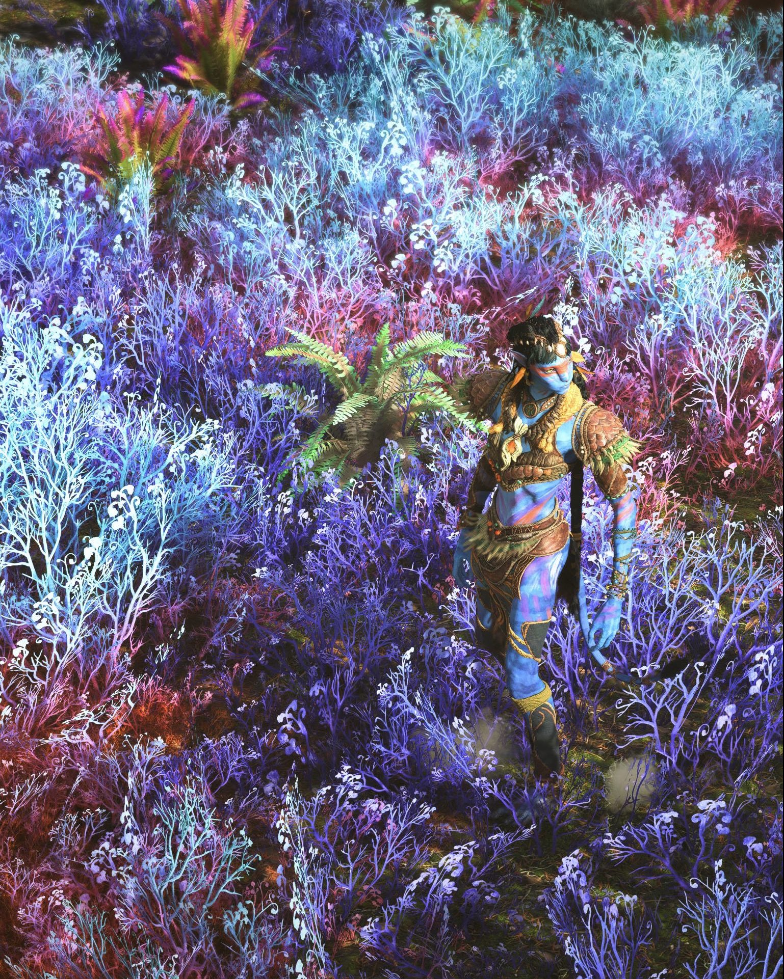 Collection / 色彩 (Color)