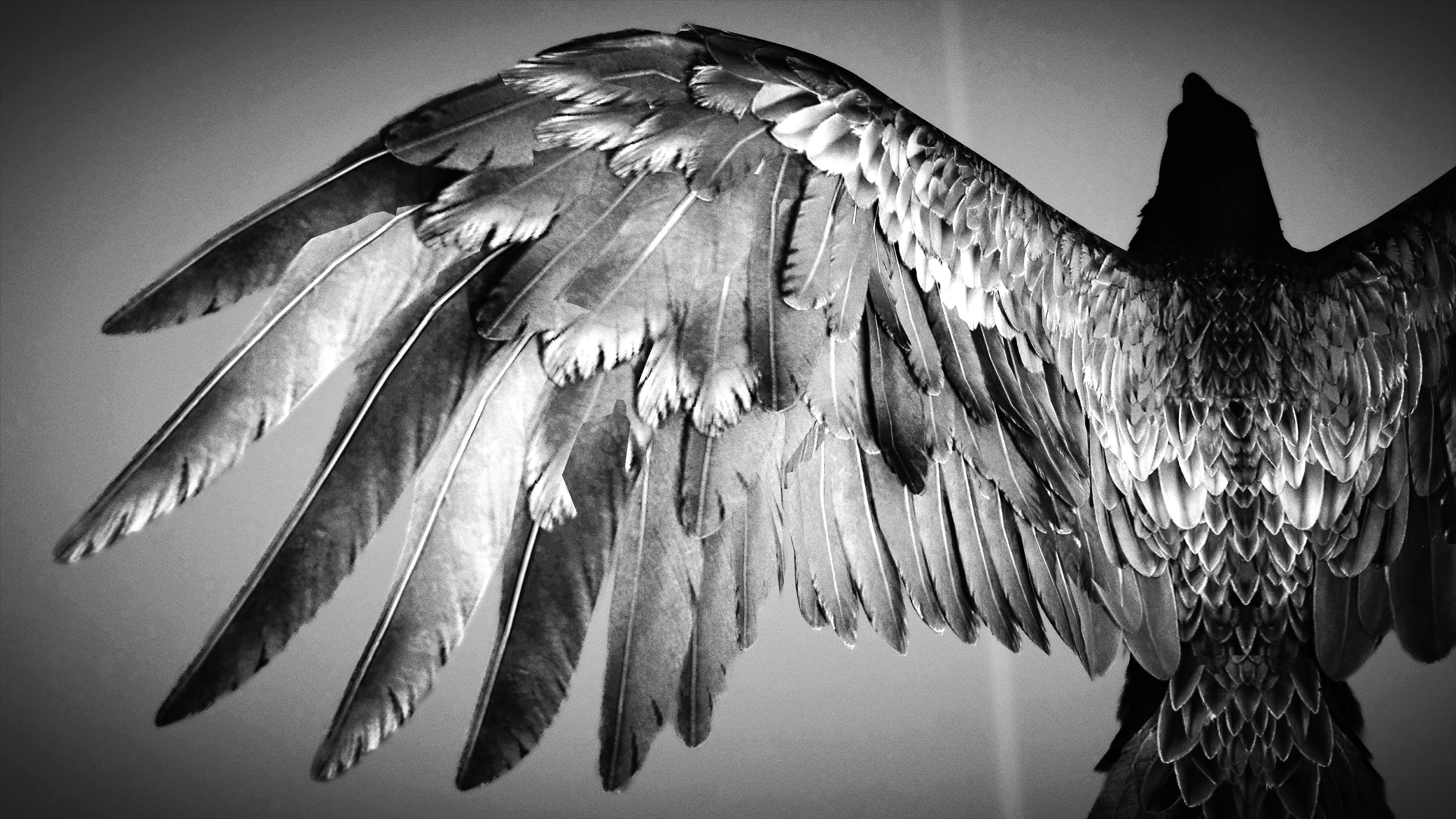 𝐶𝑜𝑙𝑙𝑒𝑐𝑡𝑖𝑜𝑛 / 触感 (𝑇𝑒𝑥𝑡𝑢𝑟𝑒)