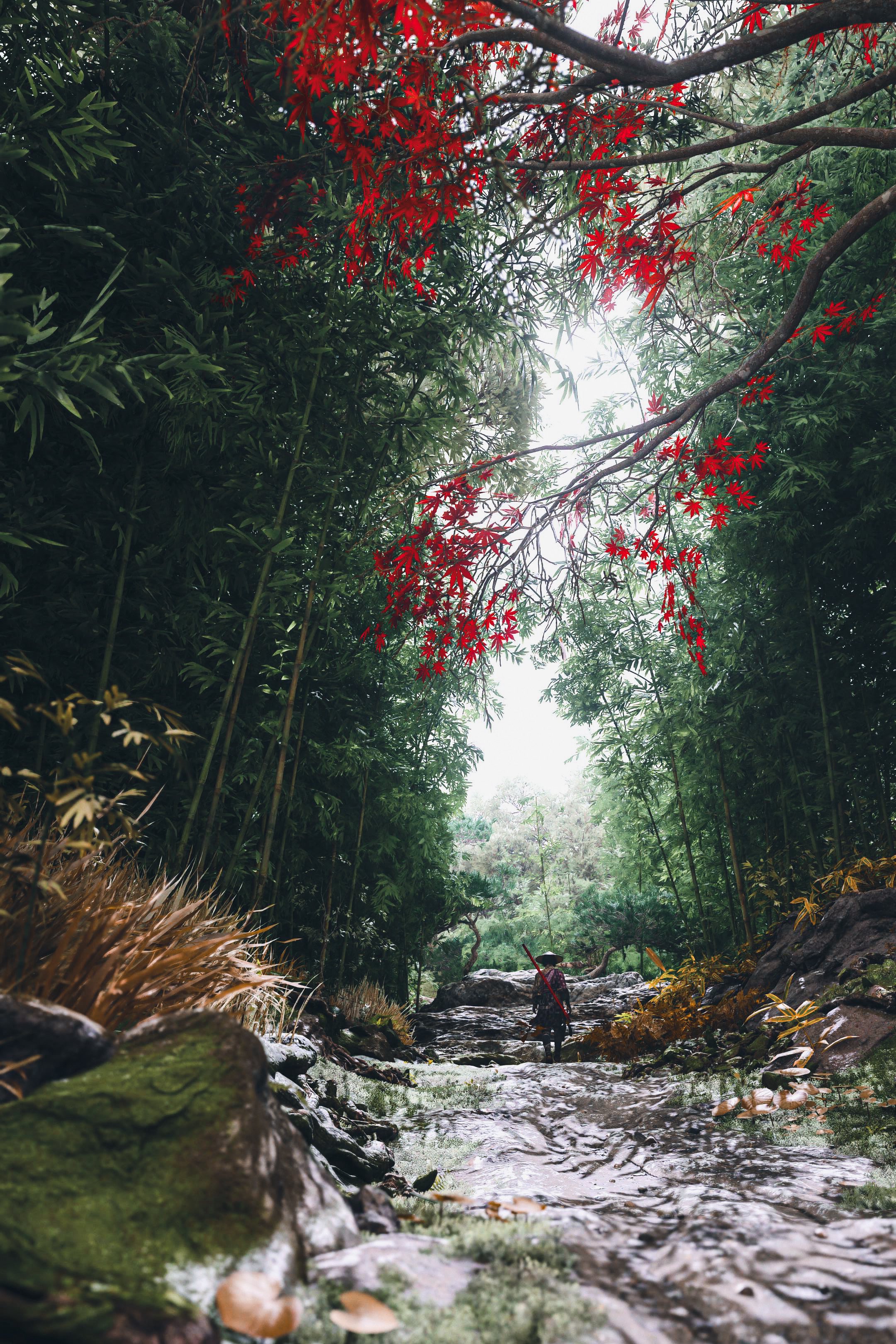 Collection / 自然 (Nature)