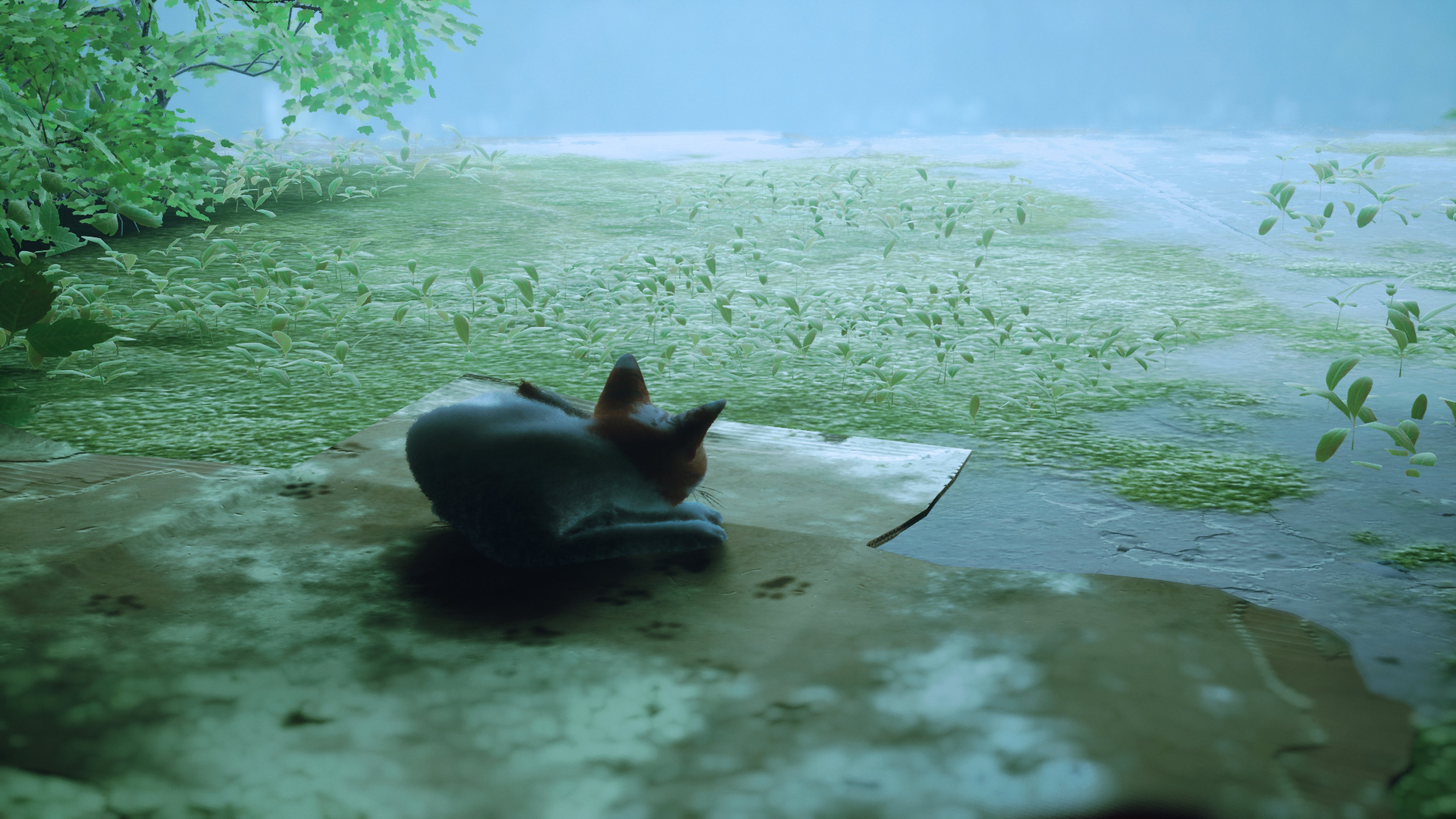 People / 日常 (Routine)