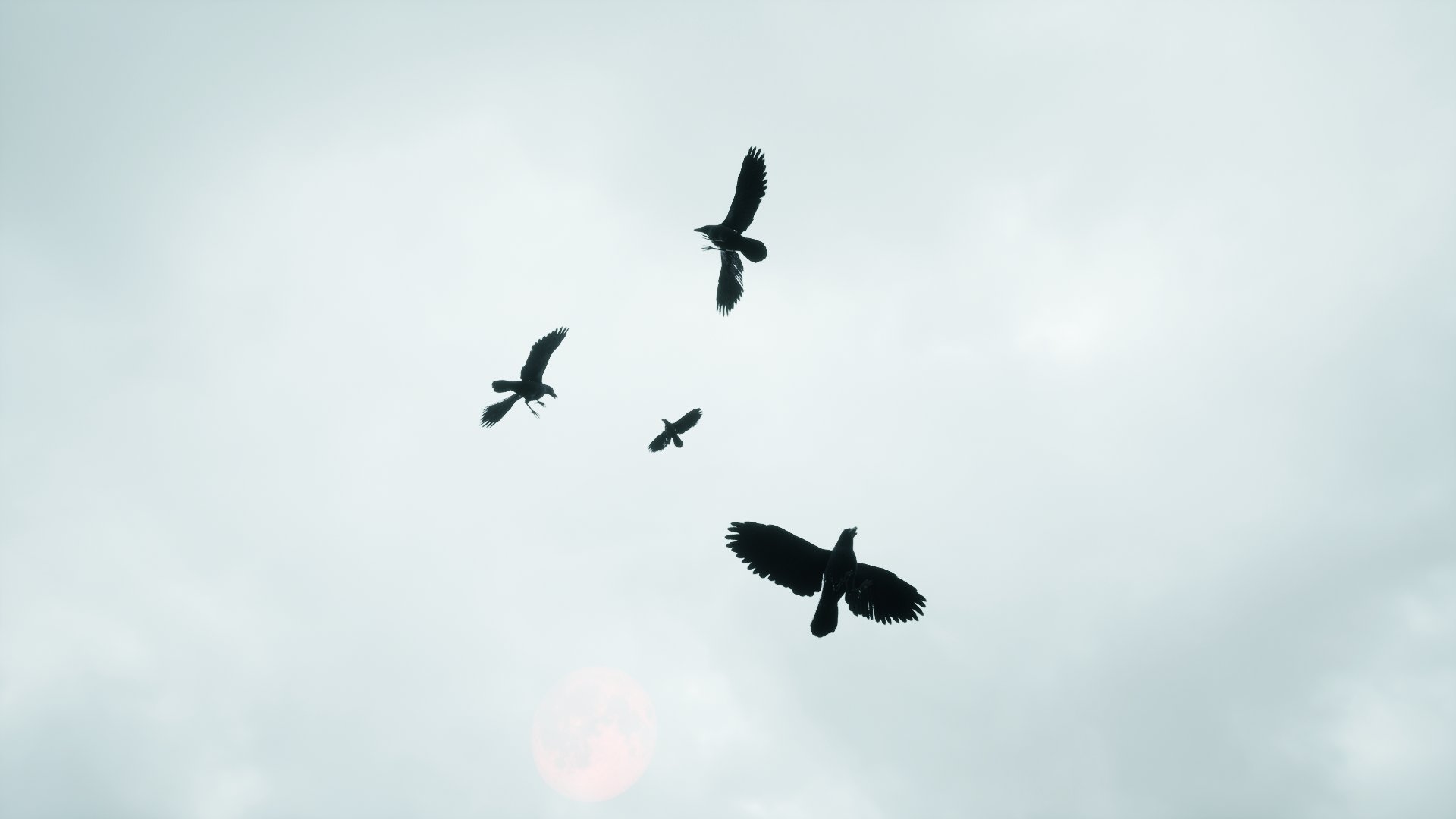 Rotation & Negative Space